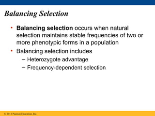 Balancing Selection
• Balancing selection occurs when natural
selection maintains stable frequencies of two or
more phenotypic forms in a population
• Balancing selection includes
– Heterozygote advantage
– Frequency-dependent selection
© 2011 Pearson Education, Inc.
 