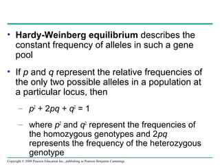 Copyright © 2008 Pearson Education Inc., publishing as Pearson Benjamin Cummings
• Hardy-Weinberg equilibrium describes th...