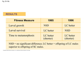 Fig. 23-16b
RESULTS
1995
Fitness Measure 1996
Larval growth
Larval survival
Time to metamorphosis
LC better
NSD
LC better
...