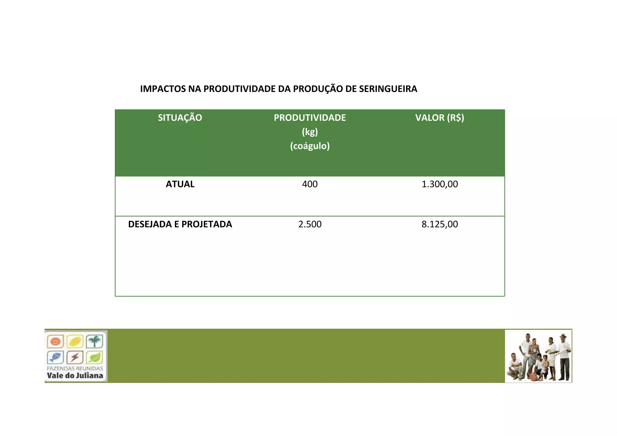 SITUAÇÃO PRODUTIVIDADE
(kg)
(coágulo)
VALOR (R$)
ATUAL 400 1.300,00
DESEJADA E PROJETADA 2.500 8.125,00
IMPACTOS NA PRODUTIVIDADE DA PRODUÇÃO DE SERINGUEIRA
 