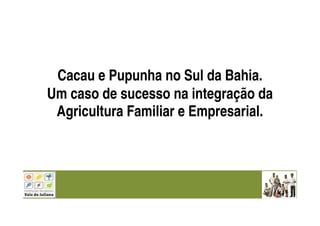 Cacau e Pupunha no Sul da Bahia.
Um caso de sucesso na integração da
Agricultura Familiar e Empresarial.
 