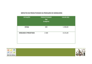 SITUAÇÃO PRODUTIVIDADE
(kg)
(coágulo)
VALOR (R$)
ATUAL 400 1.300,00
DESEJADA E PROJETADA 2.500 8.125,00
IMPACTOS NA PRODUTIVIDADE DA PRODUÇÃO DE SERINGUEIRA
 