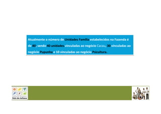 Atualmente o número de Unidades Família estabelecidos na Fazenda é
de 80, sendo 40 unidades vinculadas ao negócio Cacau, 30 vinculadas ao
negócio Pupunha e 10 vinculadas ao negócio Psicultura.
Atualmente o número de Unidades Família estabelecidos na Fazenda é
de 80, sendo 40 unidades vinculadas ao negócio Cacau, 30 vinculadas ao
negócio Pupunha e 10 vinculadas ao negócio Psicultura.
 