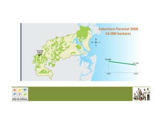 Cobertura Florestal 2008
63.000 hectares
93.000
 