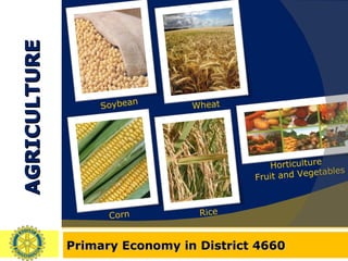 AGRICULTURE Primary Economy in District 4660 Soybean  Wheat  Corn Horticulture  Fruit and Vegetables Rice 