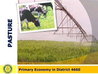 PASTURE Primary Economy in District 4660 