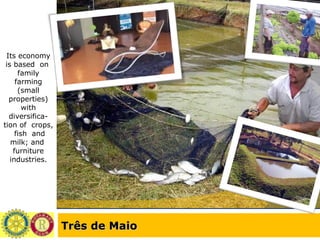 Três de Maio Its economy is based  on  family farming (small properties) with diversifica-tion of  crops,  fish  and milk; and  furniture industries. 