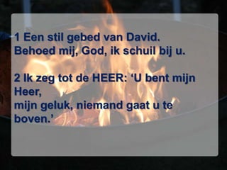 1 Een stil gebed van David. Behoed mij, God, ik schuil bij u. 2 Ik zeg tot de HEER: ‘U bent mijn Heer, mijn geluk, niemand gaat u te boven.’ 