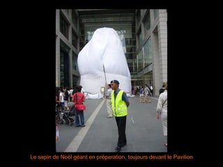 Le sapin de Noël géant en préparation, toujours devant le Pavilion