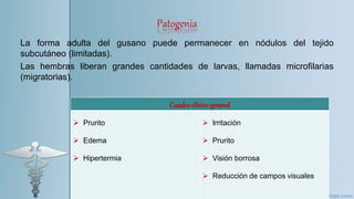 Patogenia
La forma adulta del gusano puede permanecer en nódulos del tejido
subcutáneo (limitadas).
Las hembras liberan grandes cantidades de larvas, llamadas microfilarias
(migratorias).
Cuadro clínico general
 Prurito
 Edema
 Hipertermia
 Irritación
 Prurito
 Visión borrosa
 Reducción de campos visuales
 