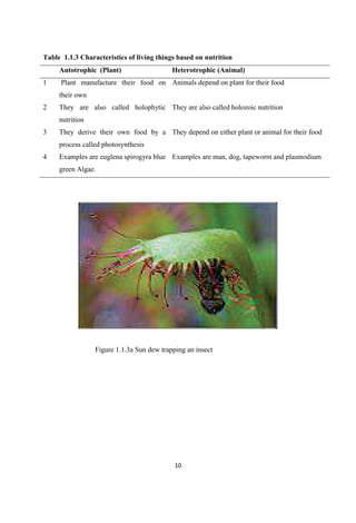 Table 1.1.3 Characteristics of living things based on nutrition
Autotrophic (Plant) Heterotrophic (Animal)
1 Plant manufacture their food on
their own
Animals depend on plant for their food
2 They are also called holophytic
nutrition
They are also called holozoic nutrition
3 They derive their own food by a
process called photosynthesis
They depend on either plant or animal for their food
4 Examples are euglena spirogyra blue
green Algae.
Examples are man, dog, tapeworm and plasmodium
Figure 1.1.3a Sun dew trapping an insect
 