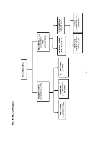 Plate1.0Theplantkingdom
CRYPTOGAMAE
(SEEDLESSPLANTS)
PHANEROGAMAE
(FLOWERING
AND
SEEDBEARING
PLANTKINGDOM
MONOCOT
(EMBRYOWITHONE
COTYLEDON)
DICOT
(EMBRYOWITHTWO
COTYLEDONS
THALLOPHYTA
(ALGAE,FUNGI,
LICHENS&BACTERIA)
BRYOPHYTA
(LIVERWORTS&
MOSSES)
PTERIDOPHYTA
(FERNS)
GYMNOSPERMAE
(NAKEDSEEDED)
ANGIOSPERMAE
(CLOSEDSEED)
 
