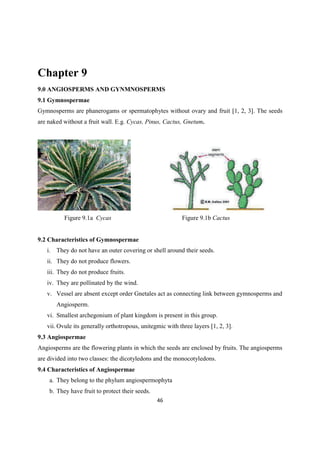 Chapter 9
9.0 ANGIOSPERMS AND GYNMNOSPERMS
9.1 Gymnospermae
Gymnosperms are phanerogams or spermatophytes without ovary and fruit [1, 2, 3]. The seeds
are naked without a fruit wall. E.g. Cycas, Pinus, Cactus, Gnetum.
Figure 9.1a Cycas Figure 9.1b Cactus
9.2 Characteristics of Gymnospermae
i. They do not have an outer covering or shell around their seeds.
ii. They do not produce flowers.
iii. They do not produce fruits.
iv. They are pollinated by the wind.
v. Vessel are absent except order Gnetales act as connecting link between gymnosperms and
Angiosperm.
vi. Smallest archegonium of plant kingdom is present in this group.
vii. Ovule its generally orthotropous, unitegmic with three layers [1, 2, 3].
9.3 Angiospermae
Angiosperms are the flowering plants in which the seeds are enclosed by fruits. The angiosperms
are divided into two classes: the dicotyledons and the monocotyledons.
9.4 Characteristics of Angiospermae
a. They belong to the phylum angiospermophyta
b. They have fruit to protect their seeds.
 