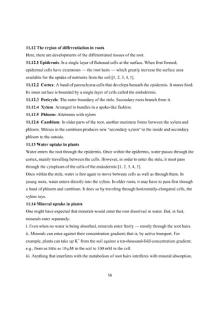11.12 The region of differentiation in roots
Here, there are developments of the differentiated tissues of the root.
11.12.1 Epidermis. Is a single layer of flattened cells at the surface. When first formed,
epidermal cells have extensions the root hairs which greatly increase the surface area
available for the uptake of nutrients from the soil [1, 2, 3, 4, 5].
11.12.2 Cortex: A band of parenchyma cells that develops beneath the epidermis. It stores food.
Its inner surface is bounded by a single layer of cells called the endodermis.
11.12.3 Pericycle: The outer boundary of the stele. Secondary roots branch from it.
11.12.4 Xylem: Arranged in bundles in a spoke-like fashion.
11.12.5 Phloem: Alternates with xylem
11.12.6 Cambium: In older parts of the root, another meristem forms between the xylem and
phloem. Mitosis in the cambium produces new "secondary xylem" to the inside and secondary
phloem to the outside.
11.13 Water uptake in plants
Water enters the root through the epidermis. Once within the epidermis, water passes through the
cortex, mainly travelling between the cells. However, in order to enter the stele, it must pass
through the cytoplasm of the cells of the endodermis [1, 2, 3, 4, 5].
Once within the stele, water is free again to move between cells as well as through them. In
young roots, water enters directly into the xylem. In older roots, it may have to pass first through
a band of phloem and cambium. It does so by traveling through horizontally-elongated cells, the
xylem rays.
11.14 Mineral uptake in plants
One might have expected that minerals would enter the root dissolved in water. But, in fact,
minerals enter separately:
i. Even when no water is being absorbed, minerals enter freely mostly through the root hairs.
ii. Minerals can enter against their concentration gradient; that is, by active transport. For
example, plants can take up K+
from the soil against a ten-thousand-fold concentration gradient;
e.g., from as little as 10 µM in the soil to 100 mM in the cell.
iii. Anything that interferes with the metabolism of root hairs interferes with mineral absorption.
 