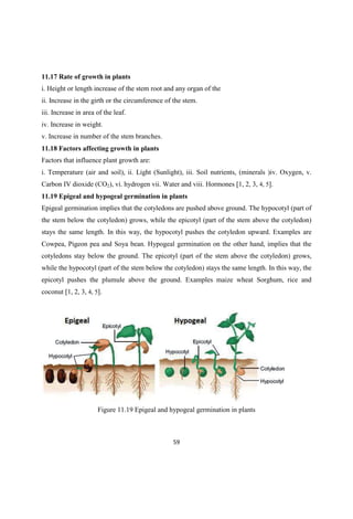 11.17 Rate of growth in plants
i. Height or length increase of the stem root and any organ of the
ii. Increase in the girth or the circumference of the stem.
iii. Increase in area of the leaf.
iv. Increase in weight.
v. Increase in number of the stem branches.
11.18 Factors affecting growth in plants
Factors that influence plant growth are:
i. Temperature (air and soil), ii. Light (Sunlight), iii. Soil nutrients, (minerals )iv. Oxygen, v.
Carbon IV dioxide (CO2), vi. hydrogen vii. Water and viii. Hormones [1, 2, 3, 4, 5].
11.19 Epigeal and hypogeal germination in plants
Epigeal germination implies that the cotyledons are pushed above ground. The hypocotyl (part of
the stem below the cotyledon) grows, while the epicotyl (part of the stem above the cotyledon)
stays the same length. In this way, the hypocotyl pushes the cotyledon upward. Examples are
Cowpea, Pigeon pea and Soya bean. Hypogeal germination on the other hand, implies that the
cotyledons stay below the ground. The epicotyl (part of the stem above the cotyledon) grows,
while the hypocotyl (part of the stem below the cotyledon) stays the same length. In this way, the
epicotyl pushes the plumule above the ground. Examples maize wheat Sorghum, rice and
coconut [1, 2, 3, 4, 5].
Figure 11.19 Epigeal and hypogeal germination in plants
 