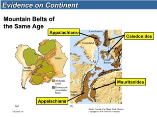 AppalachiansAppalachians
AppalachiansAppalachians
Caledonides
Mauritanides
Mountain Belts ofMountain Belts of
the Same Agethe Same Age
Evidence on ContinentEvidence on Continent
 
