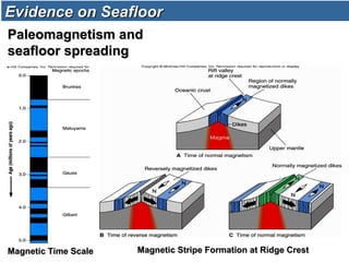 Evidence on SeafloorEvidence on Seafloor
Paleomagnetism andPaleomagnetism and
seafloor spreadingseafloor spreading
Magnetic Time ScaleMagnetic Time Scale Magnetic Stripe Formation at Ridge CrestMagnetic Stripe Formation at Ridge Crest
 