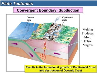 Results in the formation & growth of Continental CrustResults in the formation & growth of Continental Crust
and destruction of Oceanic Crustand destruction of Oceanic Crust
Melting
Produces
More
Felsic
Magma
Plate TectonicsPlate Tectonics
Convergent Boundary: SubductionConvergent Boundary: Subduction
 