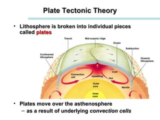 Plate Tectonic TheoryPlate Tectonic Theory
• Lithosphere is broken into individual piecesLithosphere is broken into individual pieces
calledcalled platesplates
• Plates move over the asthenospherePlates move over the asthenosphere
– as a result of underlyingas a result of underlying convection cellsconvection cells
 