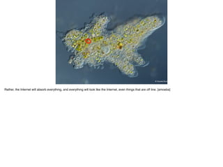 Rather, the Internet will absorb everything, and everything will look like the Internet, even things that are off line. [amoeba]
 