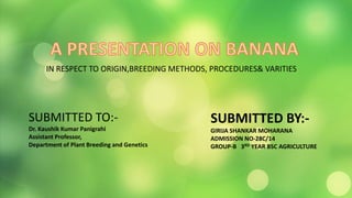 IN RESPECT TO ORIGIN,BREEDING METHODS, PROCEDURES& VARITIES
SUBMITTED TO:-
Dr. Kaushik Kumar Panigrahi
Assistant Professor,
Department of Plant Breeding and Genetics
SUBMITTED BY:-
GIRIJA SHANKAR MOHARANA
ADMISSION NO-28C/14
GROUP-B 3RD YEAR BSC AGRICULTURE
 