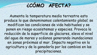 ¿CÓMO AFECTA?
Aumenta la temperatura media terrestre esto
produce lo que denominamos calentamiento global; se
modifican las condiciones de vida habituales y se
ponen en riesgo ecosistemas y especies. Provoca la
reducción de la superficie de glaciares, eleva el nivel
del agua de mares y océanos generando inundaciones
en zonas próximas al mar. Impacto negativo en la
agricultura y de la ganadería por los cambios en las
precipitaciones.
 