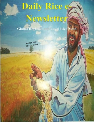 www.riceplusmagazine.blogspot.com
Asia
Daily Rice e-
Newsletter
Global Regional and Local Rice News
 
