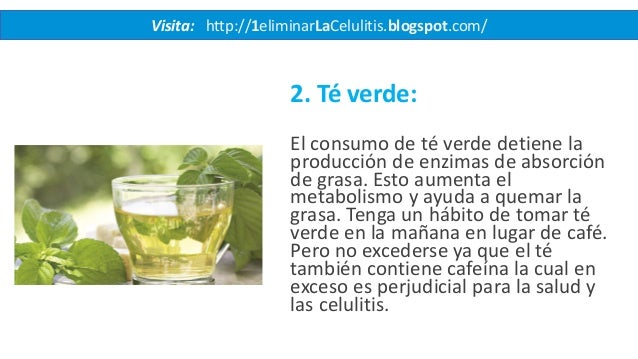 El estrés y metabolismo biologia