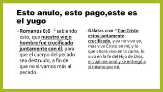 Esto anulo, esto pago,este es
el yugo
•Romanos 6:6 6 sabiendo
esto, que nuestro viejo
hombre fue crucificado
juntamente con él, para
que el cuerpo del pecado
sea destruido, a fin de
que no sirvamos más al
pecado.
• Gálatas 2:20 0 Con Cristo
estoy juntamente
crucificado, y ya no vivo yo,
mas vive Cristo en mí; y lo
que ahora vivo en la carne, lo
vivo en la fe del Hijo de Dios,
el cual me amó y se entregó a
sí mismo por mí.
 