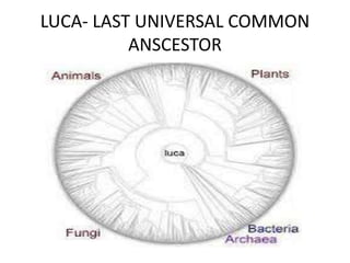 LUCA- LAST UNIVERSAL COMMON
ANSCESTOR
 