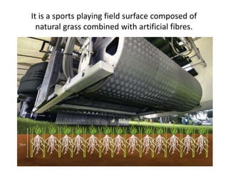 It is a sports playing field surface composed of
natural grass combined with artificial fibres.
 