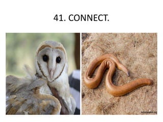 41. CONNECT.
 