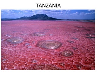 TANZANIA
 