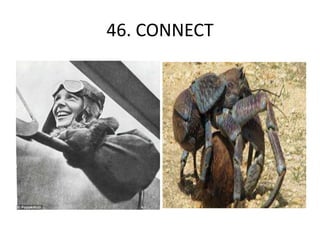 46. CONNECT
 
