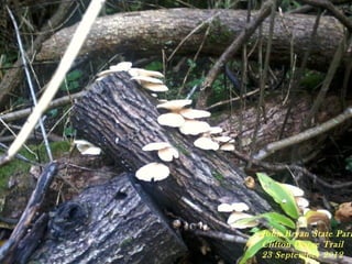 John Bryan State Park
Clifton Gorge Trail
23 September 2012