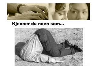 23tingioppland
