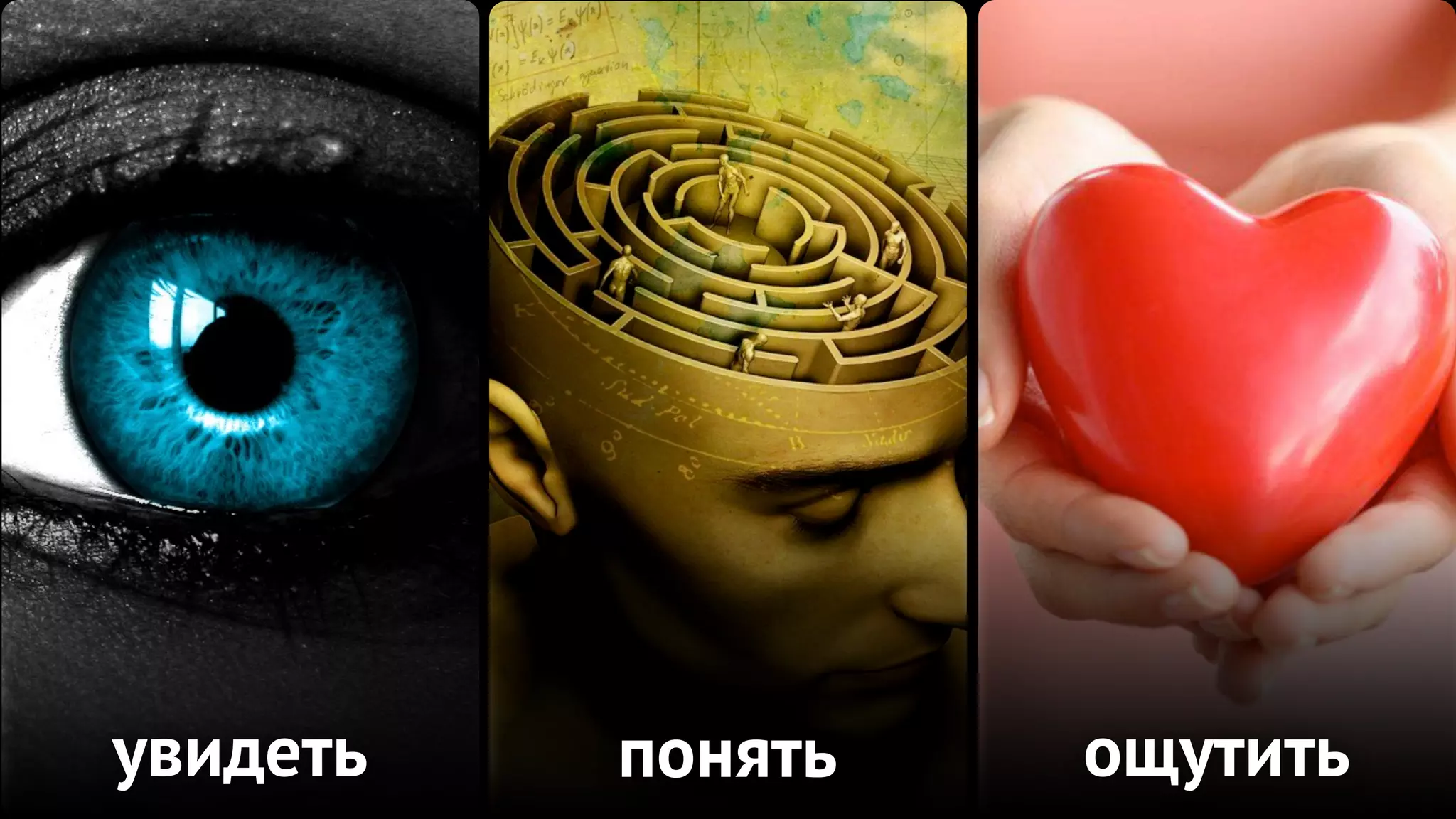 увидеть   понять   ощутить
 