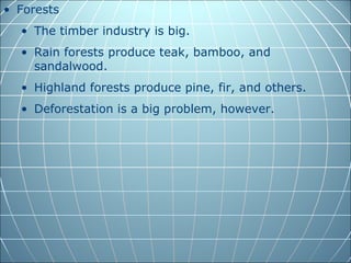 • Forests
  • The timber industry is big.
  • Rain forests produce teak, bamboo, and
    sandalwood.
  • Highland forests produce pine, fir, and others.
  • Deforestation is a big problem, however.
 