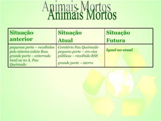 Animais Mortos  Situação anterior  Situação  Atual  Situação  Futura pequenos porte – recolhidos pelo sistema coleta Rsss. grande porte – enterrado local ou no A. Pau Queimado Cemitério Pau Queimado  pequeno porte – em vias públicas – recolhido RSS grande porte – aterro   Igual ao atual   