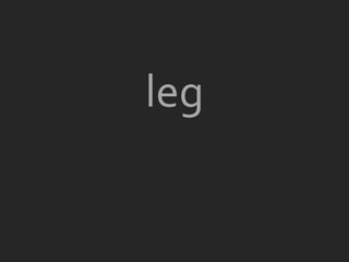 leg
 