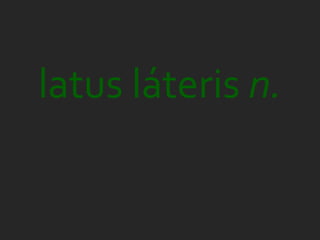 latus láteris n.
 