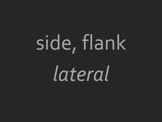 side, flank
  lateral
 