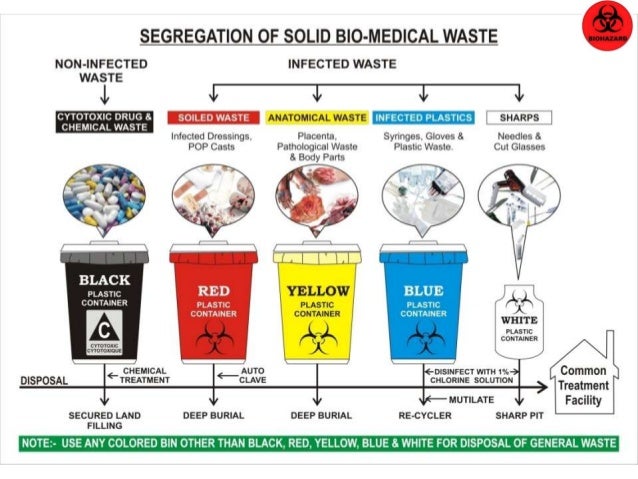 Thesis on biomedical waste management in india