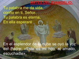 ANTES DEL EVANGELIO.

Tu palabra me da vida,
confío en ti, Señor.
Tu palabra es eterna,
En ella esperaré

En el esplendor ...
