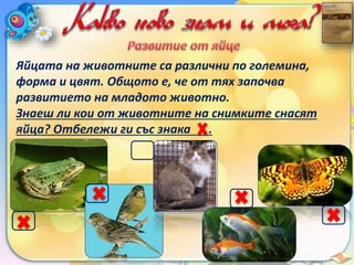 Яйцата на животните са различни по големина,
форма и цвят. Общото е, че от тях започва
развитието на младото животно.
Знаеш ли кои от животните на снимките снасят
яйца? Отбележи ги със знака .
 