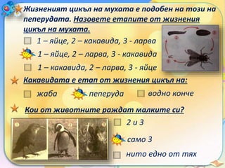 24. Развитие на животни, които снасят яйца - ЧП, 4 клас, Булвест