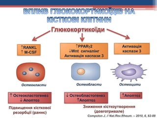 RANKL
 M-CSF
PPAR2
Wnt сигналінг
Активація каспази 3
Активація
каспази 3
Остеокласти Остеобласти Остеоцити
 Остеокластогенез
 Апоптоз
 Остеобластогенез
Апоптоз
Апоптоз
Підвищення кісткової
резорбції (раннє)
Зниження кісткоутворення
(довготривале)
Compston J. // Nat.Rev.Rheum. – 2010, 6, 82-88
 