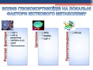 •  IGF-1
•  IGF-II
рецептор
• IGFBPs-3,4,5
• HGF
• Остеонектин
•  OPG
•  RANKL
•  CSF-1
•  PG E2
 