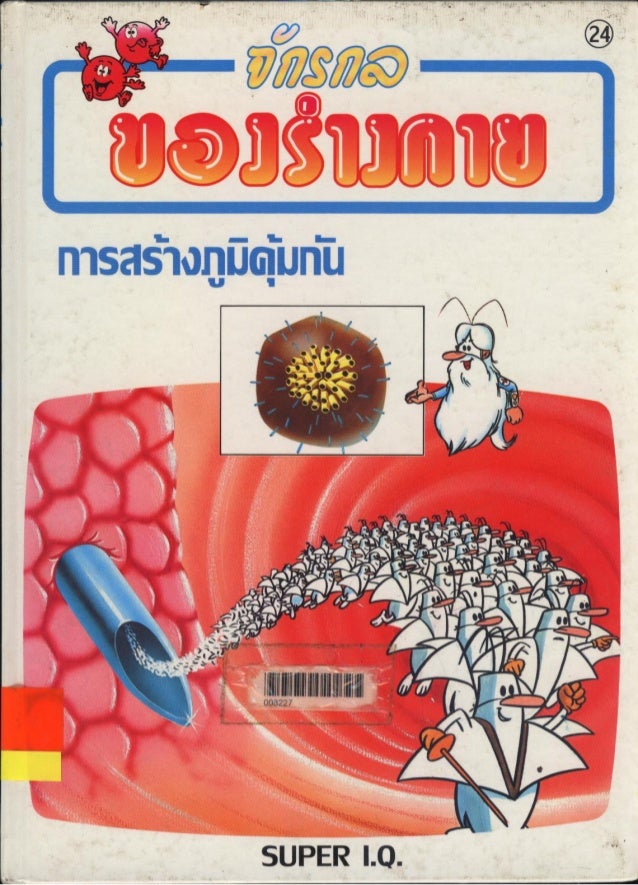 จ กรกลของร างกาย 24 การสร างภ ม ค มก น
