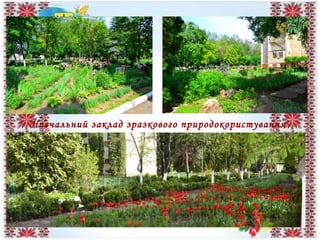 Навчальний заклад зразкового природокористування
 